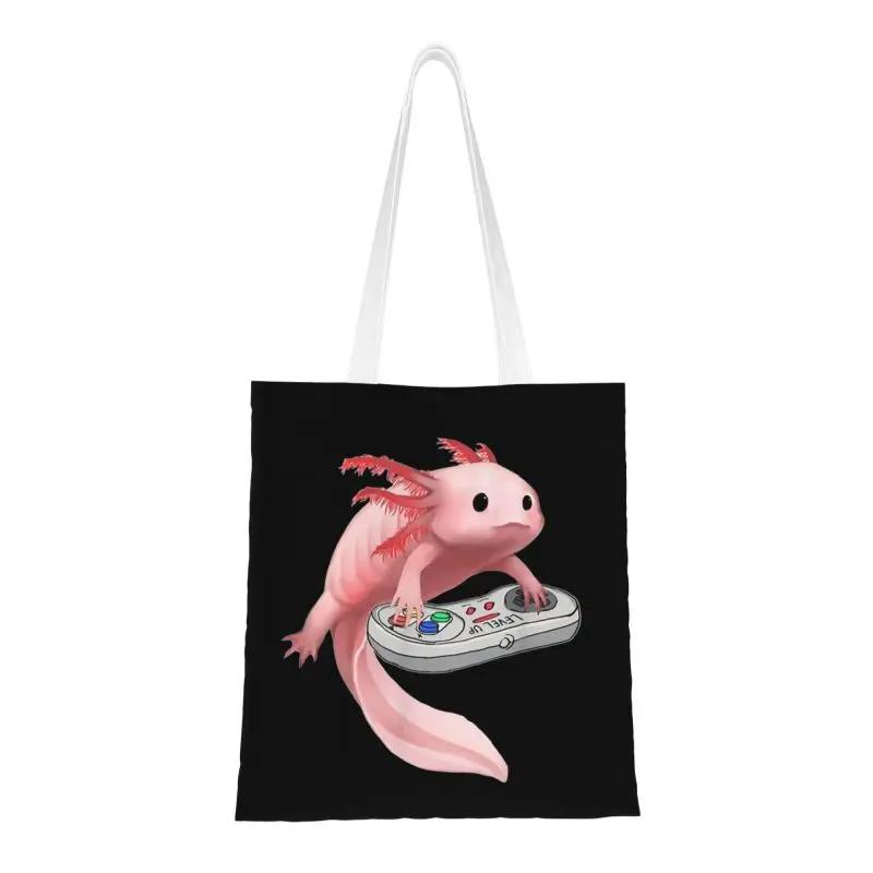 Axolotl-      ,  ĵ Ʈ ,  Axolotl  ̸ ķǰ  